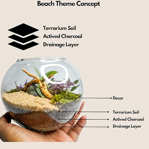 DIY Glass Terrarium Kit – Coastal Theme thumbnail
